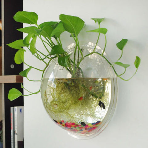 Hanging Glass Ball Vase