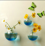 Hanging Glass Ball Vase