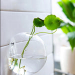 Hanging Glass Ball Vase