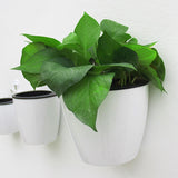 Wall Hanging Plant Holder