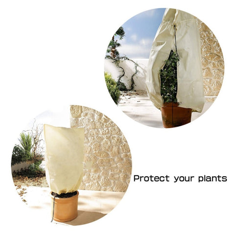 Canvas Plant Cover